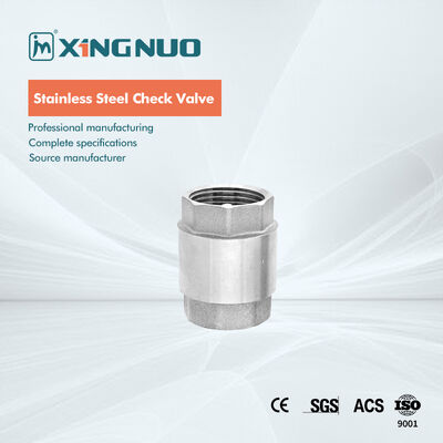 Van kiểm tra bằng thép không gỉ BSP Van định hướng dòng chảy đơn hướng cho hệ thống kiểm soát chất lỏng công nghiệp và bảo vệ đường ống